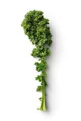 Vegetables-Kale-Isolated-on-White-Background-000083930017_Double.jpg